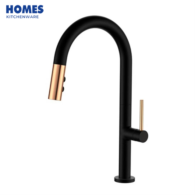 Matte Black Single Hole Kitchen Faucet GB3041