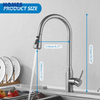 Satin Brushed Single Handle Kitchen Faucet KS30420