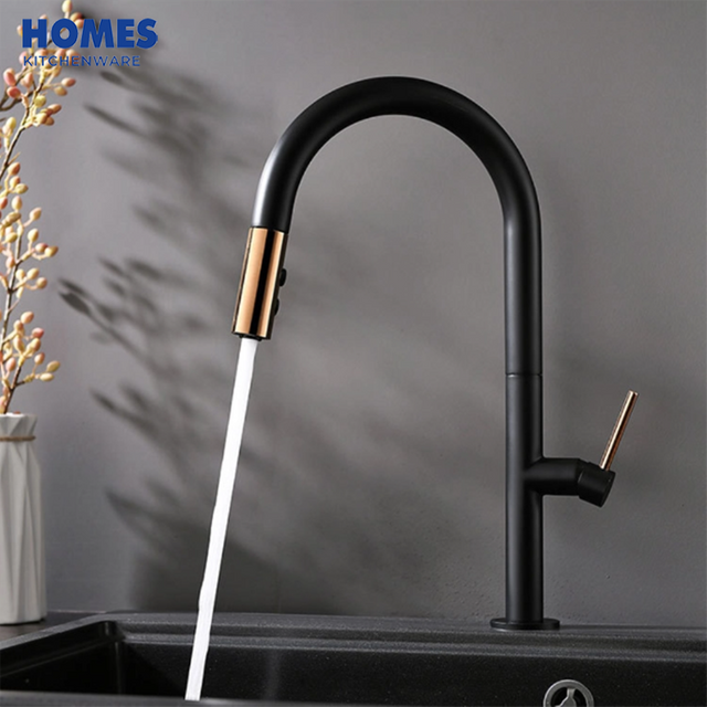 Matte Black Single Hole Kitchen Faucet GB3041