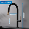 Matte Black Single Hole Kitchen Faucet GB3041
